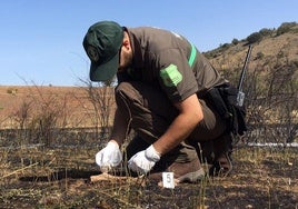 Un agente medioambiental investiga un incendio en Castilla y León.