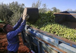 El Ministerio de Agricultura abre la inscripción en el curso de producción ecológica