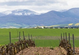 Zona de parcelaria en Hervías.