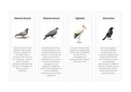 Descubre cómo suenan las aves urbanas en Logroño