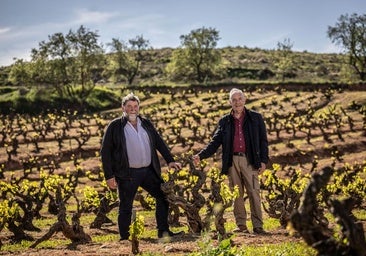 Dos 'locos de la colina'de la uva y la viña