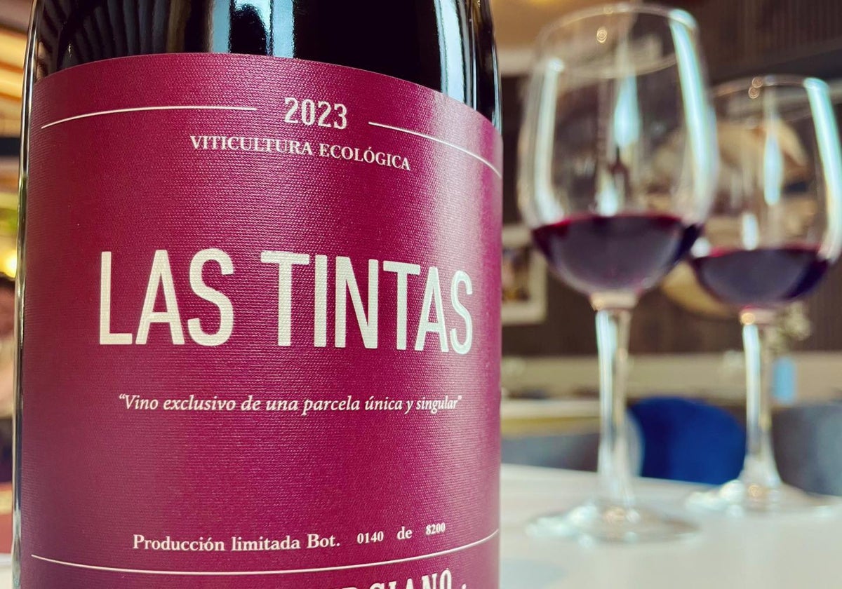 Bruno Murciano y sus vinos artesanos