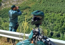 Efectivos del Seprona.